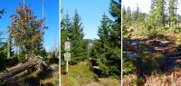 076 grenzsteig lusen-rachel - mitte der geplante grenzuebergang blaue saeulen - rechts hirschsuhle